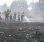 Ratusan Titik Panas Menyala di Sumatera, 31 Berada di Riau