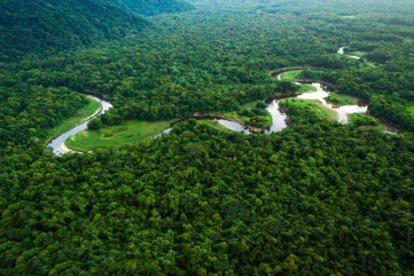Pelepasan Kawasan Hutan Produksi yang Dikonversi Tidak Melawan Hukum