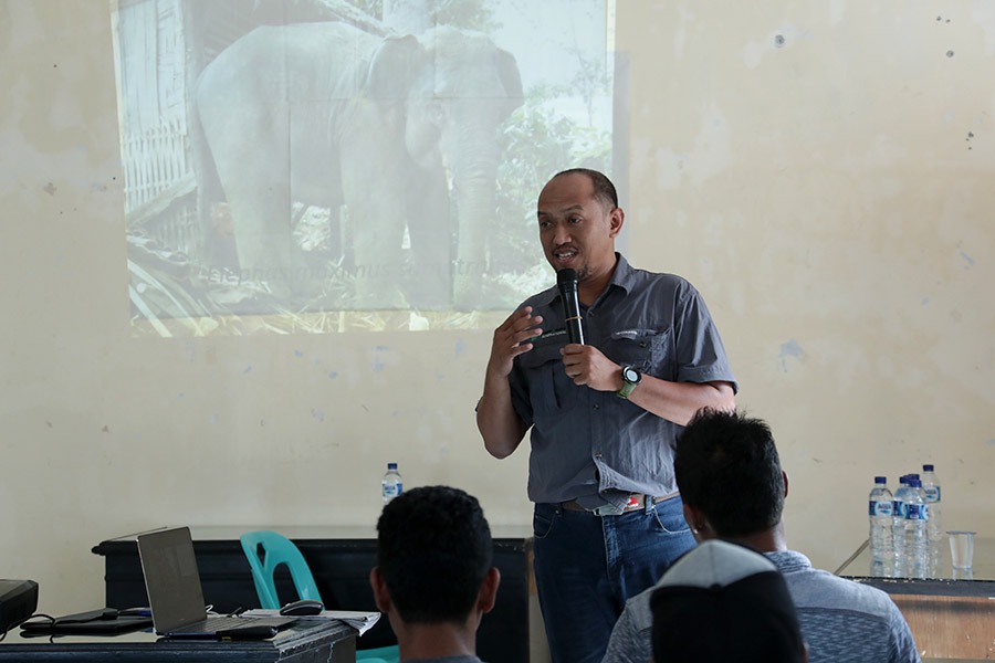 Habitat Gajah Sumatera di Tesso Nilo Terus Menyusut, FKGI Desak Aksi Nyata Penyelamatan