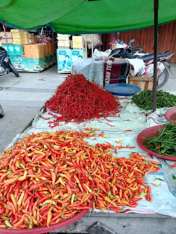 Harga Cabe Merah Bukittinggi Mulai Stabil di Sejumlah Pasar Tradisional di Pekanbaru
