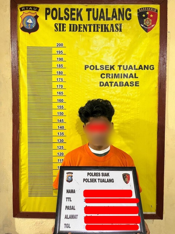 Diduga Lakukan Pencabulan, Pemuda Asal  Tualang  Diringkus Polisi