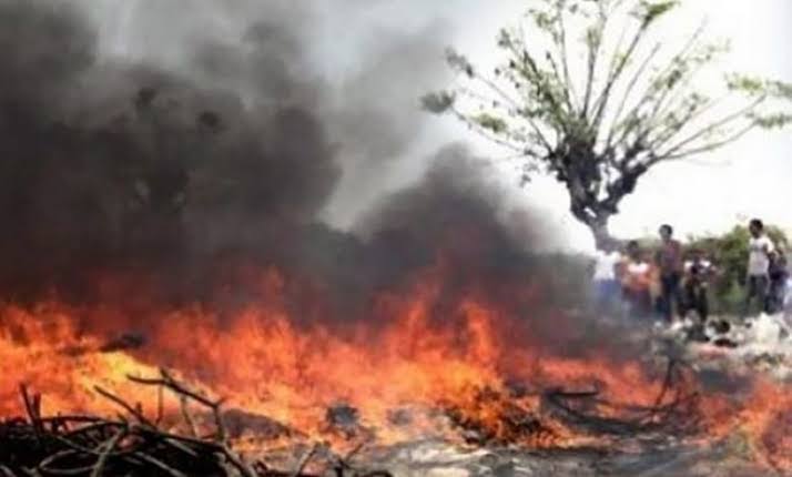 Panas Terik! 532 Hotspot Menyala di Sumatera, Riau Sumbang 72 Titik