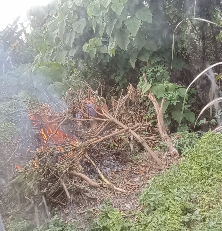 Musim Kemarau, DLHK Pekanbaru Minta Warga Hentikan Bakar Sampah
