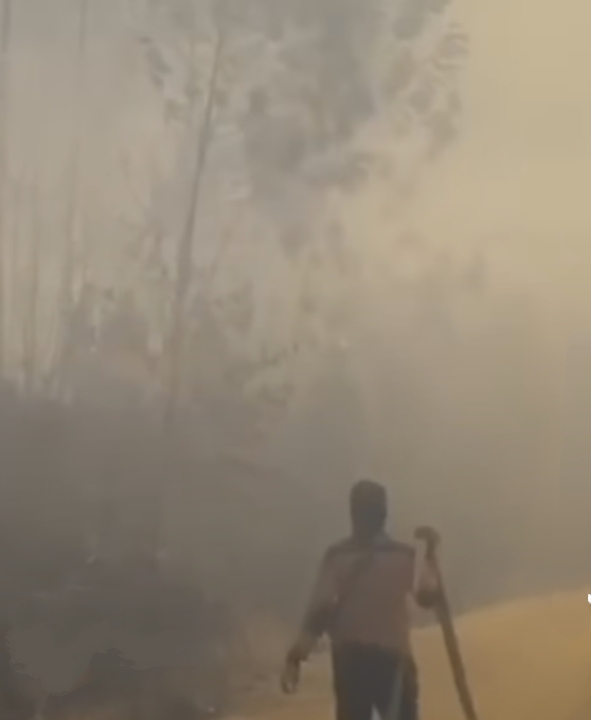 Setelah 12 Hari, Tim Satgas Riau Berhasil Padamkan Karhutla di Bengkalis
