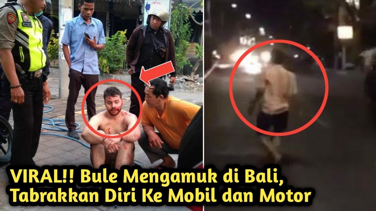 Bule Gila yang Tabrakan Diri Telah Diamankan Polisi