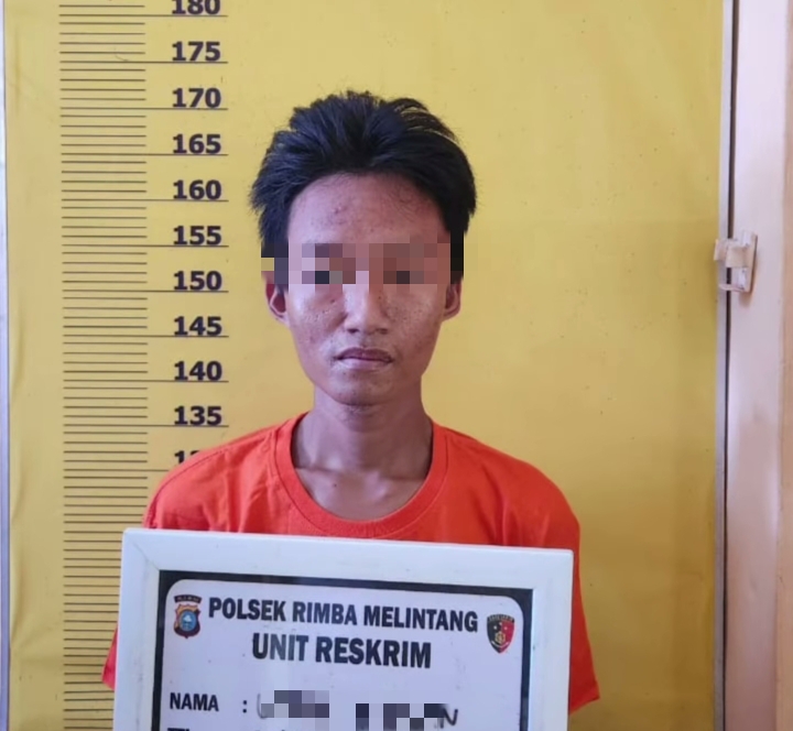 Asik Nyabu, Pria di Rohil Tak Berkutik Diciduk Polisi