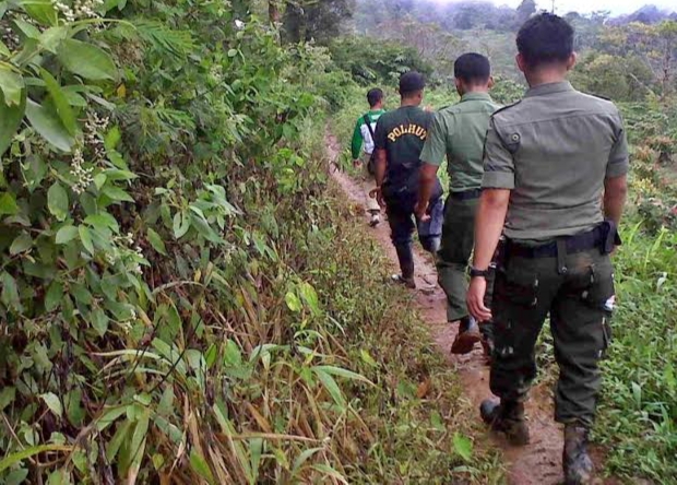 Kekurangan Personil, DLHK Berharap Polisi Hutan Riau Ditambah