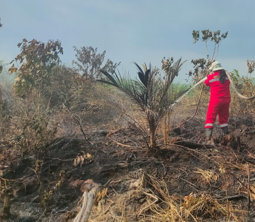 Lahan Milik Polda Riau di Kampar Terbakar