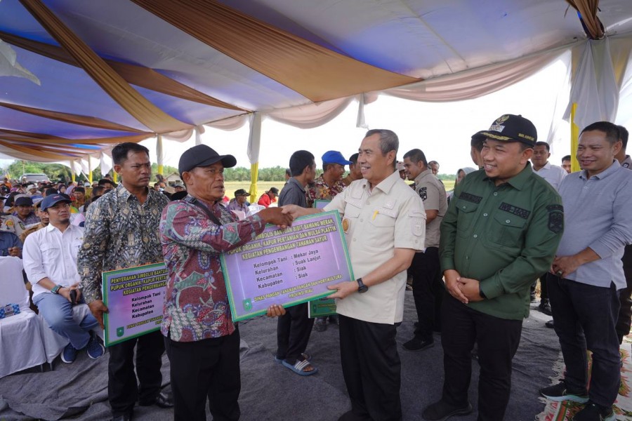 Panen Raya di Siak, Gubri Serahkan Berbagai Bantuan pada Kelompok Tani