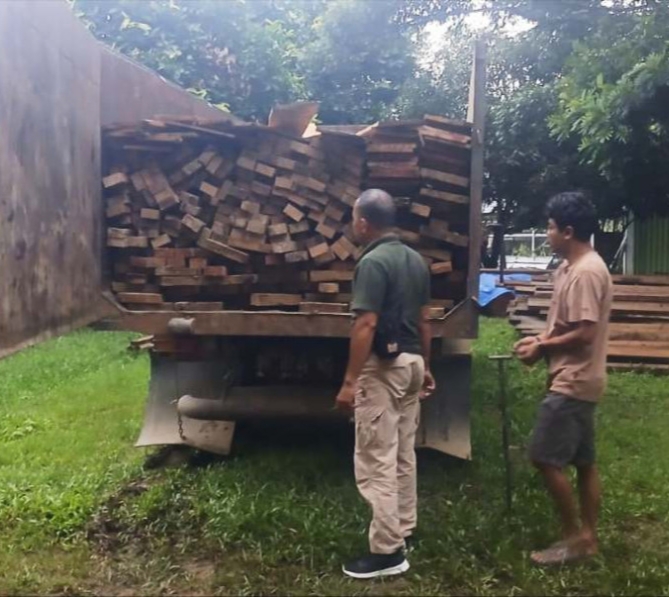 Dua Penebang Kayu di Kawasan TNBT  Ditangkap Polisi Hutan