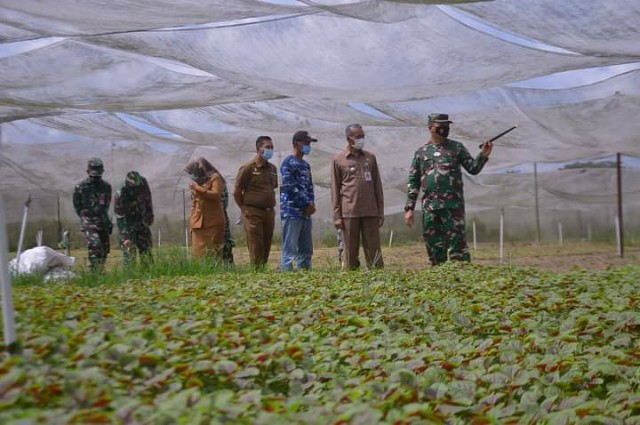 Bantu Petani Dimasa Pandemi Covid-19, Pemko Pekanbaru Serahkan Bibit Palawija dan Lele