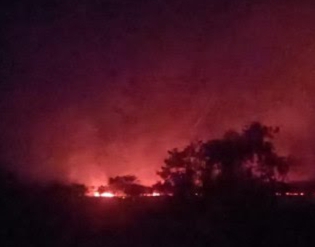 Lima Hektar Lahan di Jalan Koridor PT RAPP Terbakar