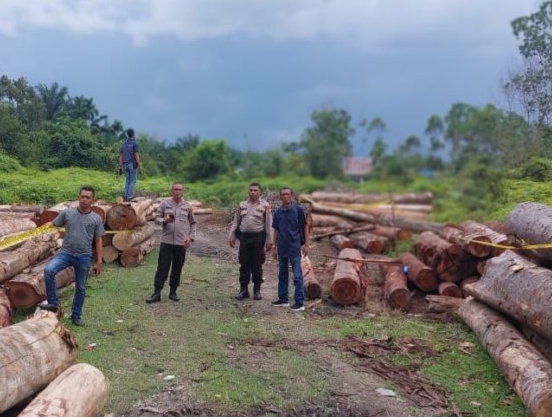 Diduga Ilegal, Polsek Kampar Kiri Temukan 215 Tual Kayu Tak Bertuan