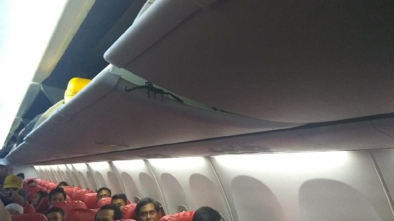 Panik, Penumpang Lion Air Temukan Kalajengking di Kabin Pesawat