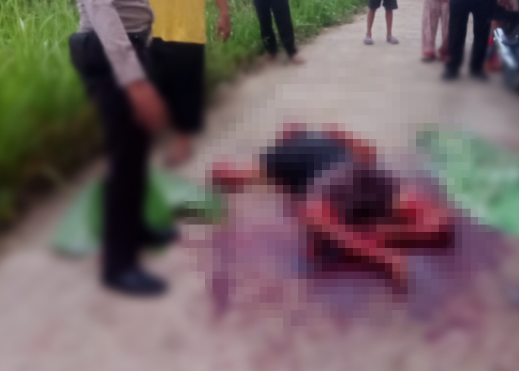 Mayat Bersimbah Darah Ditemukan di Cerenti, Diduga Korban Pembunuhan