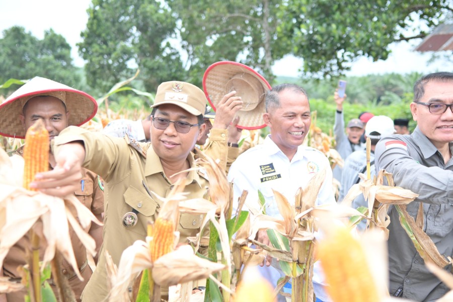 Panen Raya Perdana, Wakil Bupati: Pasir Putih Tunjukkan Potensi Nyata