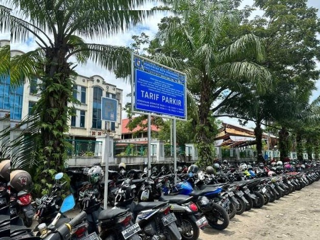 Tarif Parkir Turun, DPRD Desak Dishub Ganti Plang dan Tindak Pungli Parkir