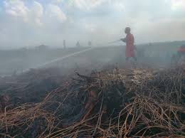 Riau Siaga! 10 Daerah Tetapkan Status Darurat Karhutla