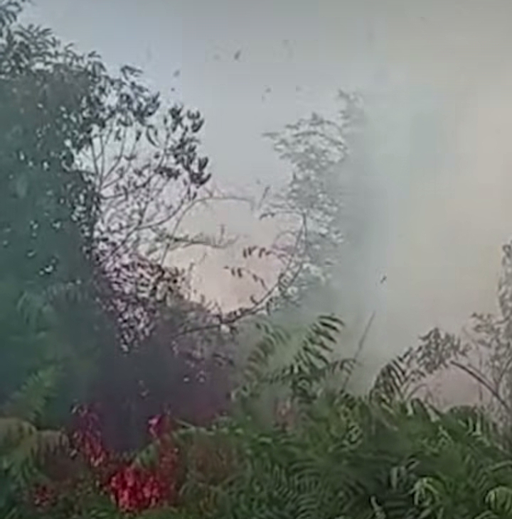 Riau Dikepung 55 Titik Panas, BMKG Minta Warga Waspadai Karhutla