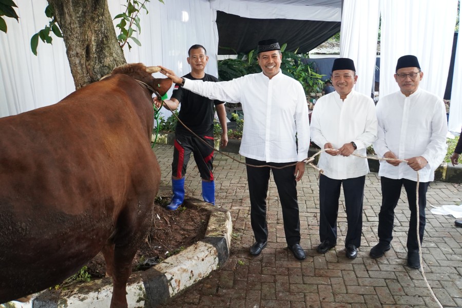 BSI Salurkan 15.272 Hewan Kurban, Naik 144% Dibanding Tahun Lalu