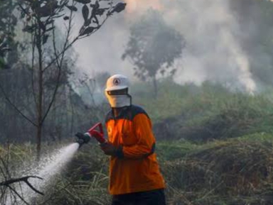 Sepanjang 2023 Karhutla Terjadi di 4 Wilayah di Riau