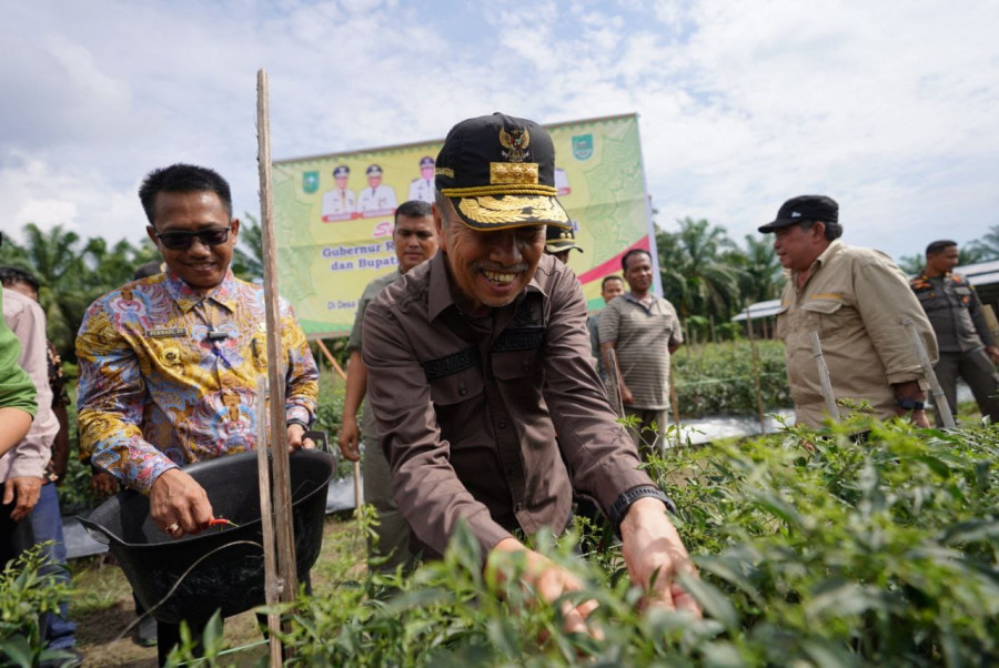 Gubri Syamsuar: Sistem Pertanian Terpadu Desa Rantau Sakti, Rohul Layak Ditiru