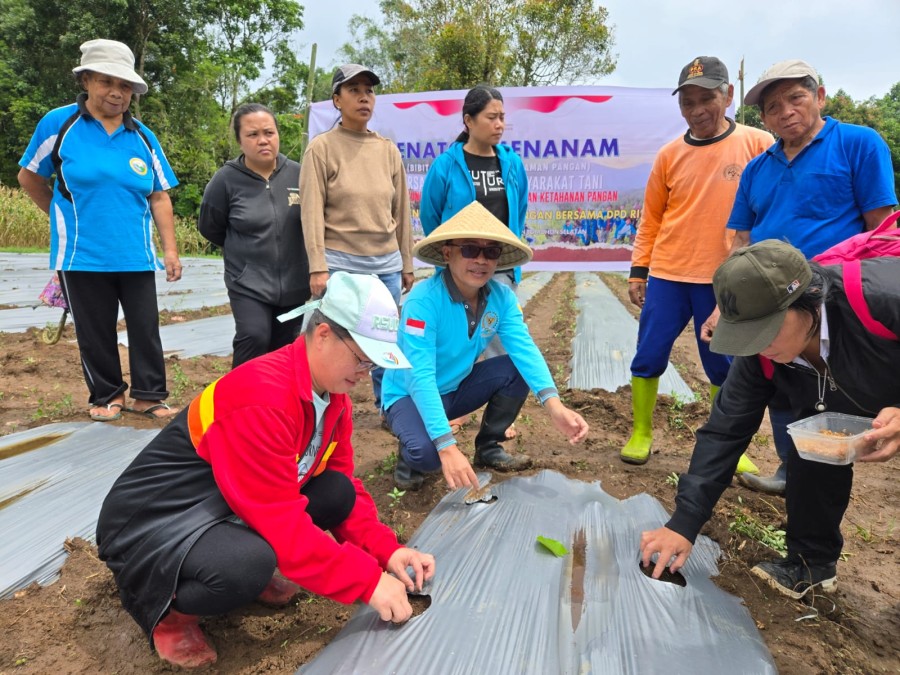 Senator SBANL Gaungkan Aksi Menanam,  Komitmen DPD RI untuk Ketahanan Pangan