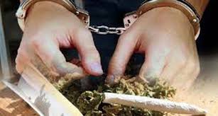 Selundupkan Ganja dari Medan dengan Becak, Dua Pria Diringkus Polres Rohil