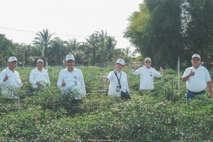 TPID Riau Gerakkan Program Tanam Cabai untuk Kendalikan Inflasi