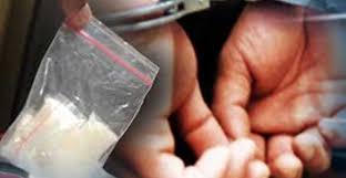 Polres Pelalawan Grebek Rumah Pengedar, Temukan 88 Gram Sabu