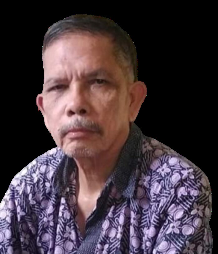 Panabalan Jalan Tuanku Tambusai di Lintas Rohul-Perbatasan Sumut