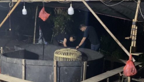 Polsek Tenayan Raya Gerebek Diduga Tempat Judi Sabung Ayam