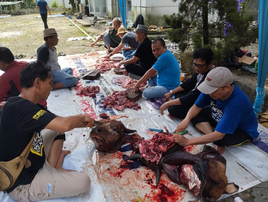 Semangat Kebersamaan Warnai Pemotongan Hewan Kurban PWI Riau
