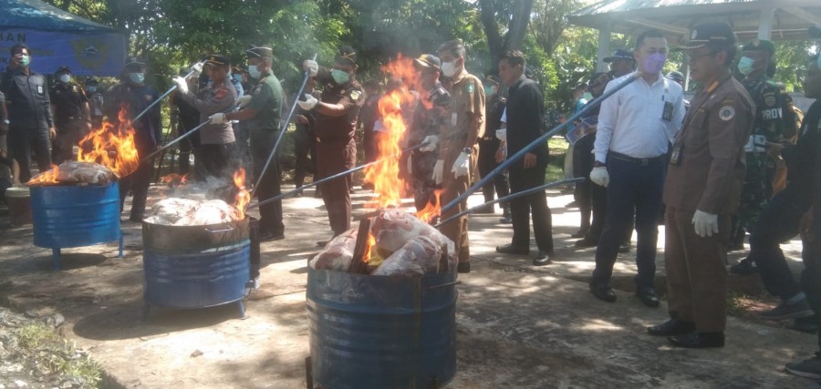 Bea Cukai Limpahkan Berkas Perkara 41,2 Ton Daging Ilegal ke Jaksa