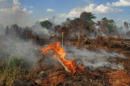 176 Hotspot Membara di Sumatera, 10 Titik Ada di Riau