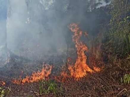 Riau Catat 17 Titik Panas, Bengkalis dan Pelalawan Jadi Sorotan