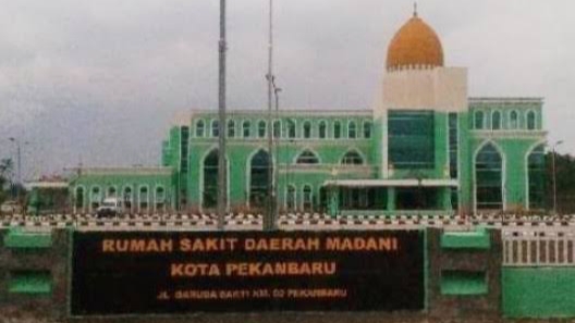 Audit RSD Madani, Inspektorat Laporkan Sejumlah Temuan pada Pj Wako Pekanbaru
