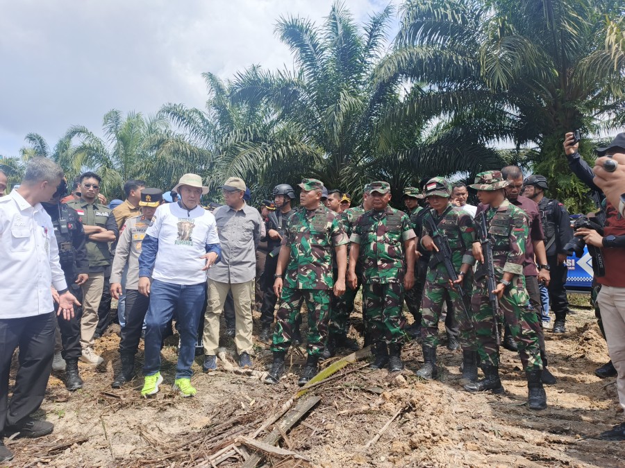 TNI Turun Tangan Pulihkan Tesso Nilo, Sawit Ilegal Dimusnahkan, Hutan Ditanami Kembali