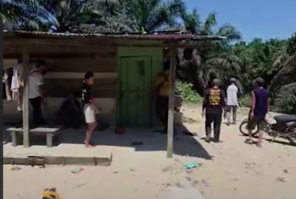 BBKSDA Riau Turunkan Tim usai Bocah Diserang Gajah Liar di Rumbai Barat