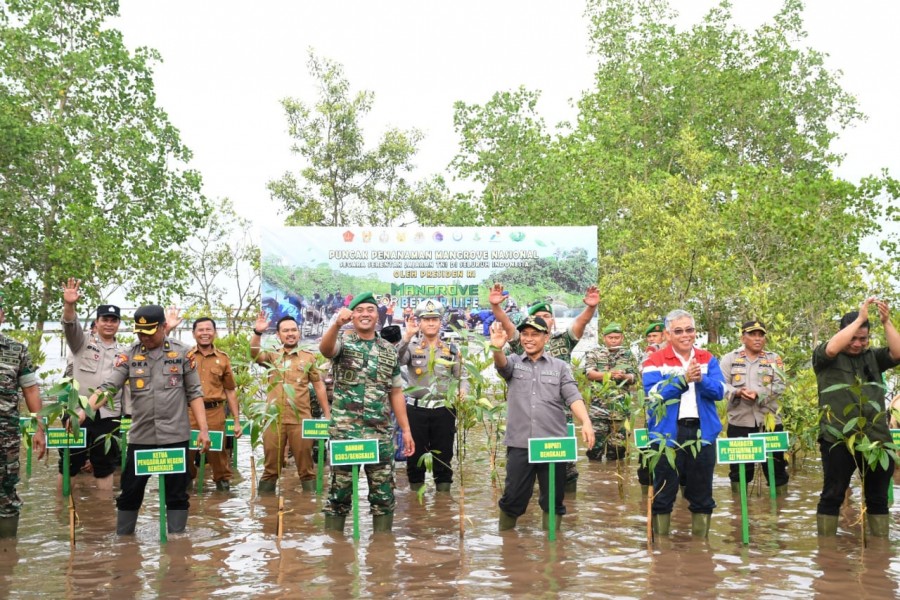 Wabup dan Dandim 0303 Bengkalis Tanam Mangrove di Pantai Desa Pangkalan Jambi