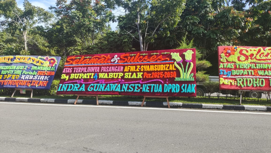 Pleno PPK di 14 Kecamatan Selesai, Ucapan Selamat untuk Dr Afni Z-Syamsurizal Berjejer di Jalan
