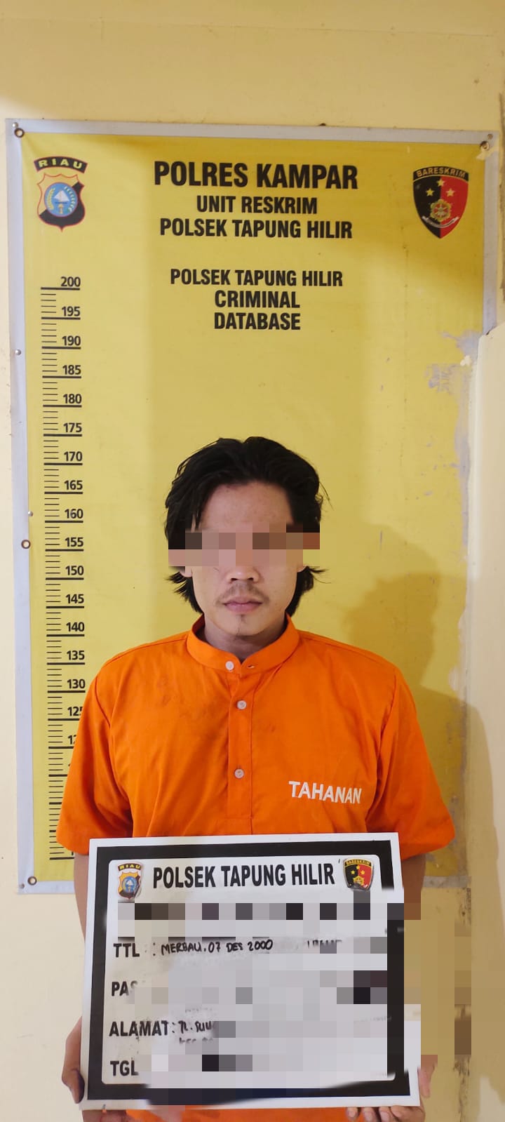 Polsek Tapung Hlir Ringkus Seorang Pengedar Sabu di Kandis