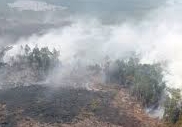 Hotspot di Sumatera Meroket Capai 934 Titik, 77 Terdeteksi di Riau