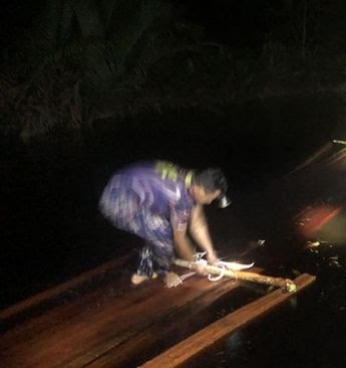 Polisi Gagalkan Pengiriman 20 Ton Kayu Ilegal di Sungai Dedap Meranti, Pelaku Kabur ke Hutan