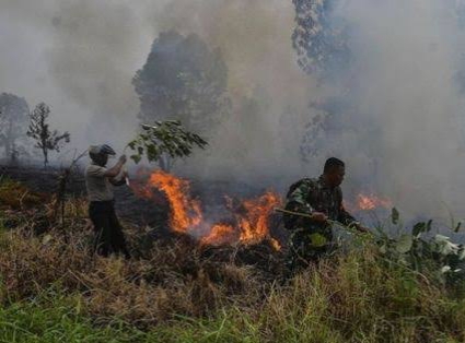 Langkah Cepat Cegah Kebakaran, Meranti Tetapkan Status Siaga Karhutla