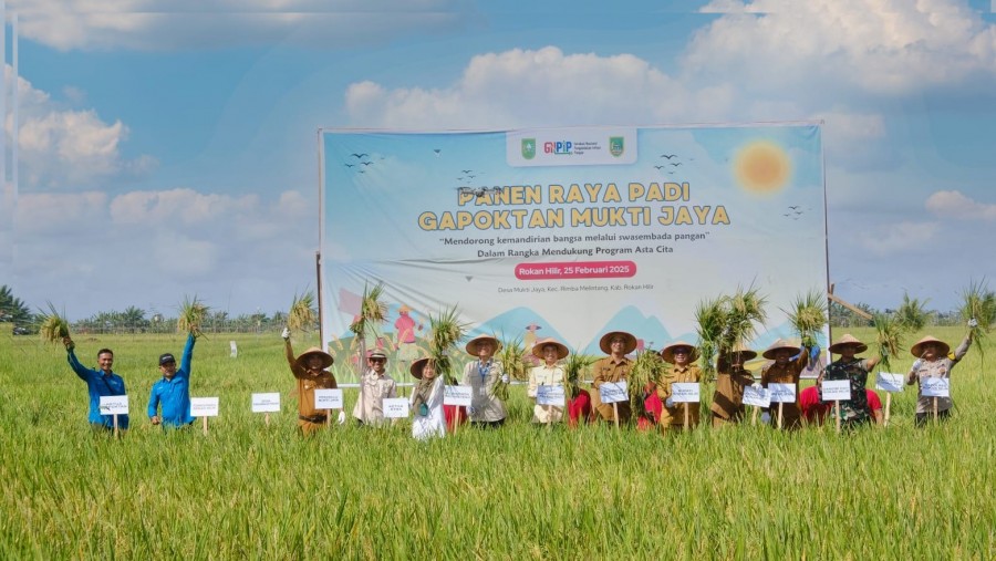 BI Panen Raya, Rohil Siap Jadi Sentra Produsen Beras di Riau