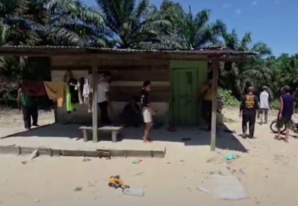 Konflik Satwa di Rumbai, Gajah Liar Tewaskan Bocah SD