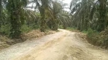 Dipanggil Kejati Riau, Eks Kades Perhentian Sungkai Beberkan Sejumlah Fakta