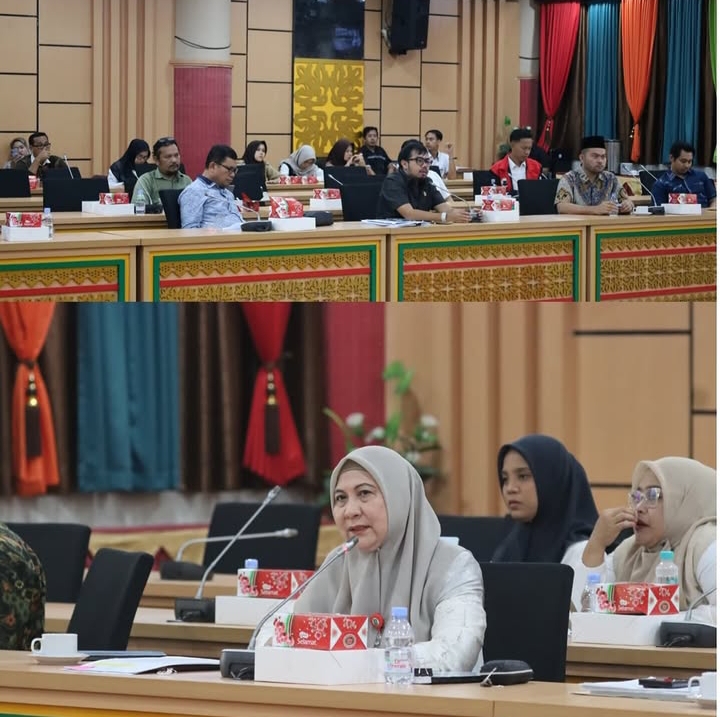 Pansus DPRD Riau Perkuat Materi Ranperda Perlindungan Anak