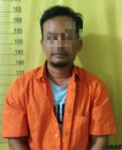 Jadi Perantara Pengelapan Mobil Rental, DM Diringkus Polisi di Bengkalis